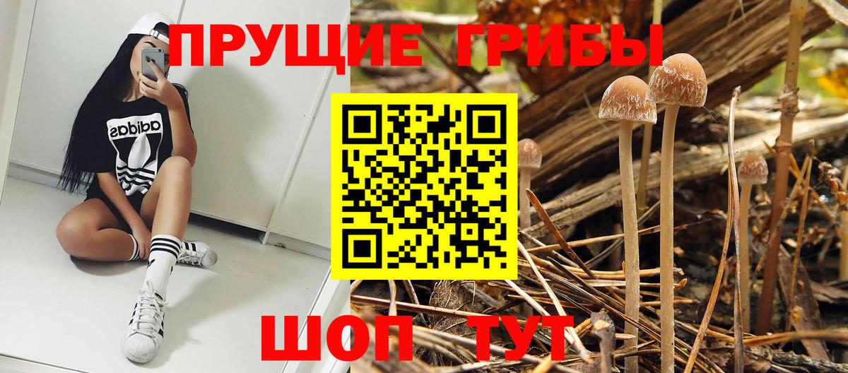 Галлюциногенные грибы Magic Shrooms Ковров